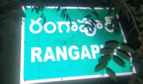 ఓడిన సర్పంచ్ అభ్యర్థికి మూడు లక్షల రూపాయలు