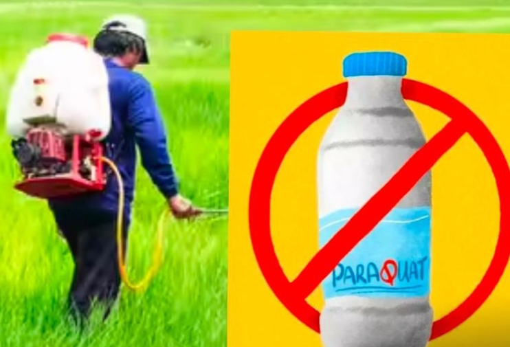 తెలంగాణలో గడ్డి మందు నిషేధం!