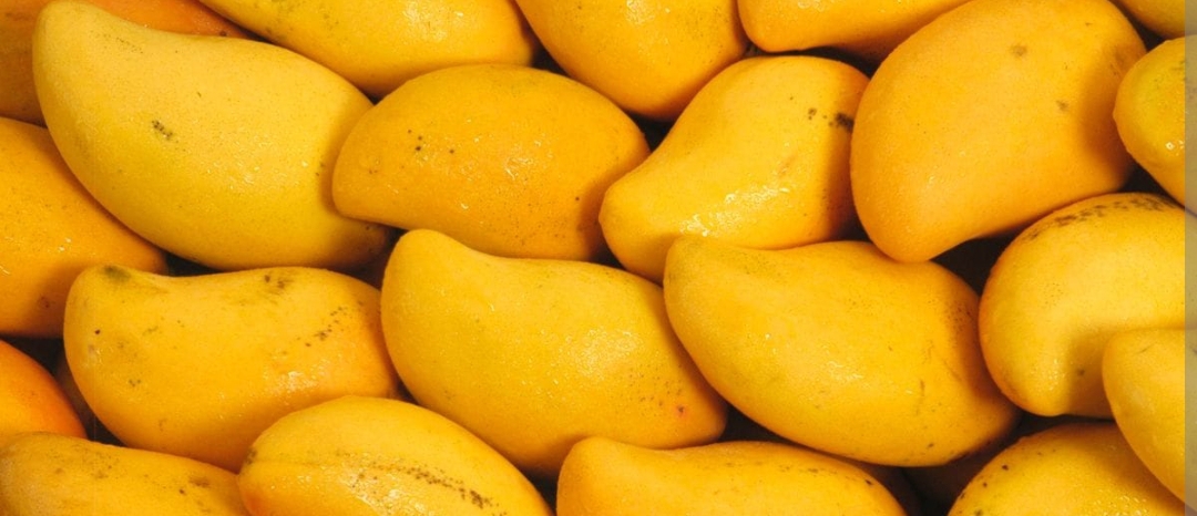 కల్తీ మామిడి పండ్లతో తస్మాత్ జాగ్రత్త!