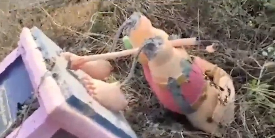 హనుమాన్ విగ్రహం ధ్వంసం.. ఆందోళనకు దిగిన హిందూ సంఘాలు